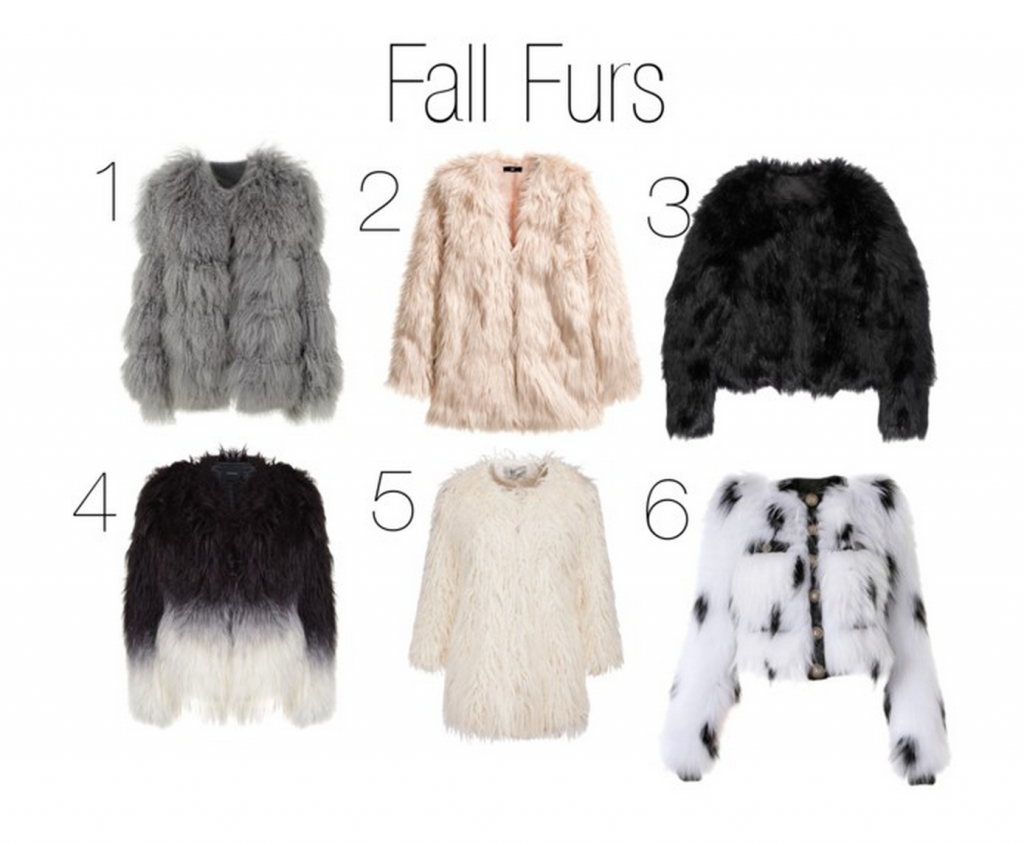 Fall Fashion - Furs