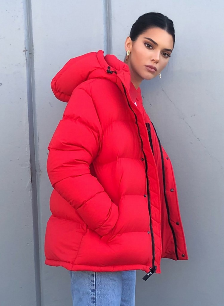 Kylie Jenner Aritzia Coat