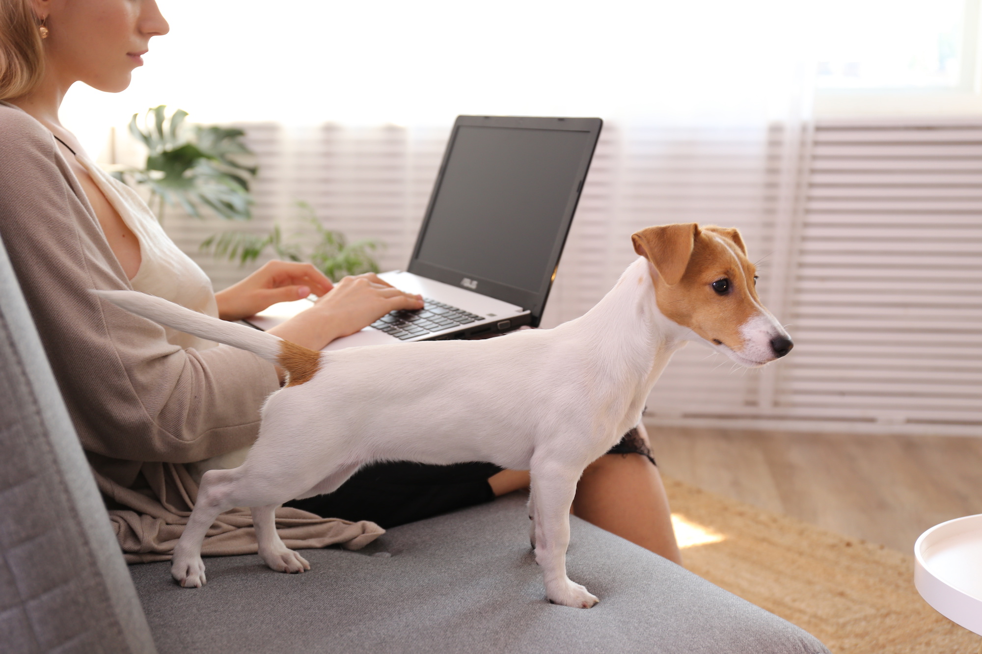 Working From Home In Comfort 5 Brands To Help Fashion Jobs In 